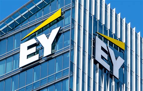 ey company job openings|e&y job openings.